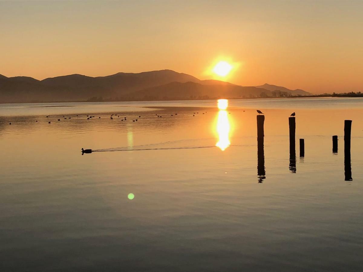 Vista Lago Torre del Lago Puccini Bagian luar foto